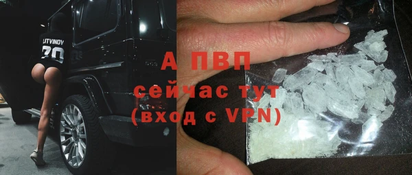 стаф Белокуриха