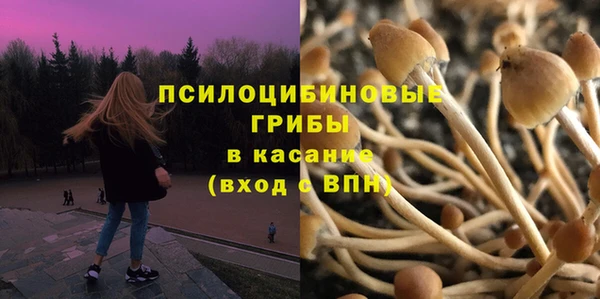 Альфа ПВП Баксан