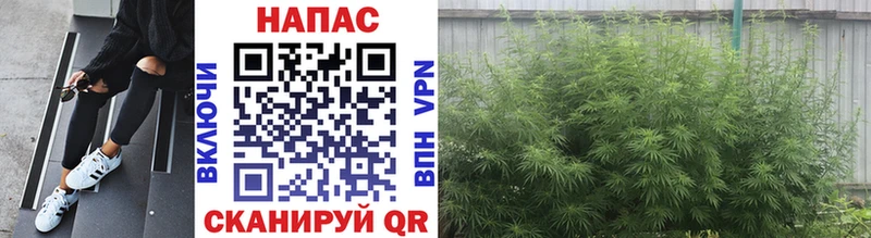 купить закладку  Пролетарск  Марихуана Bruce Banner 